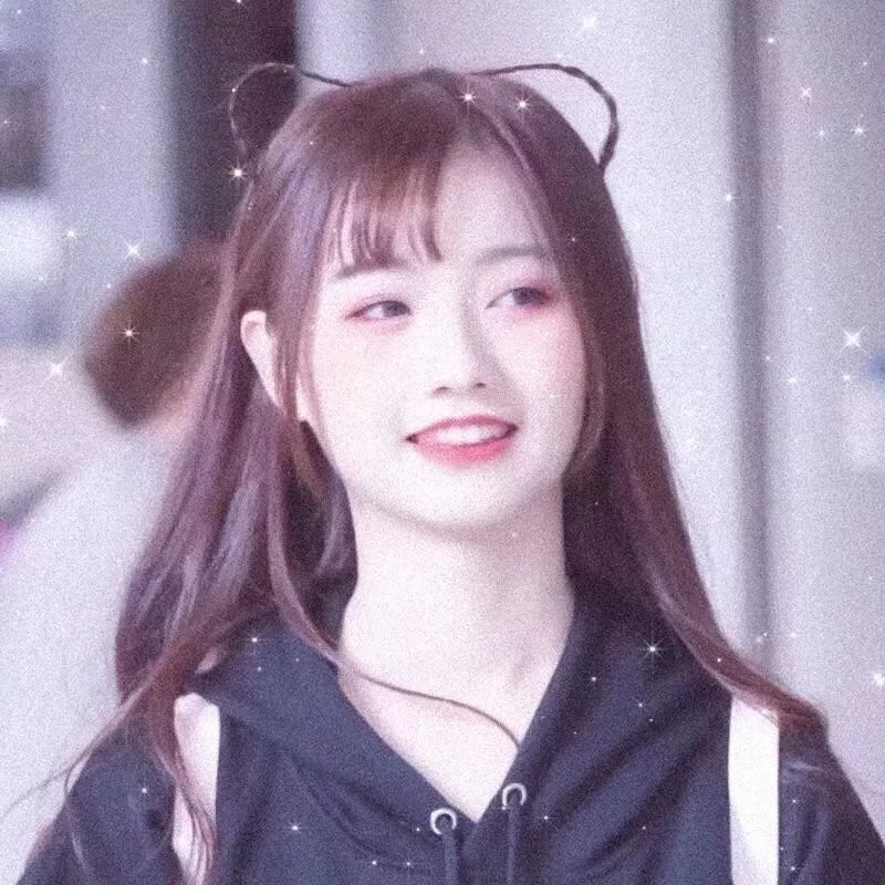 史酷比狗